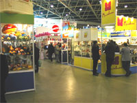 Підводячи підсумок огляду іграшок, представлених на виставці Світ Дитинства 2002 року, хочеться відзначити зростаючу кількість вітчизняних виробників