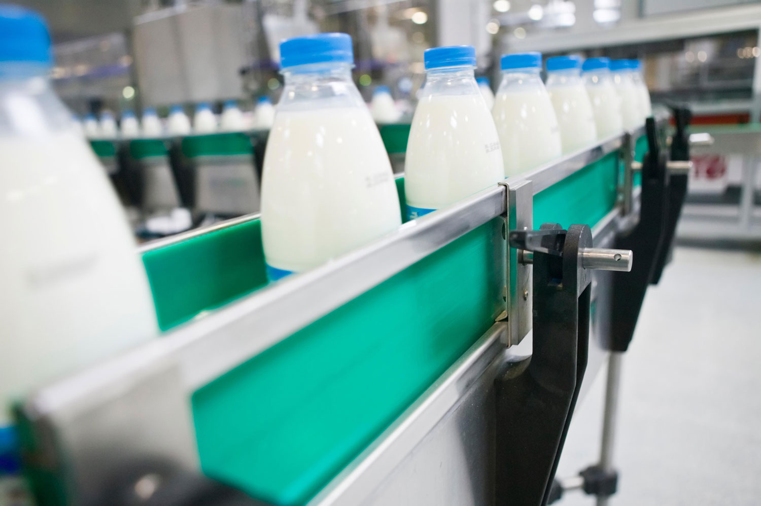 В цілому на експорт з Білорусі поставляється близько 58% від усього обсягу виробництва молочної продукції