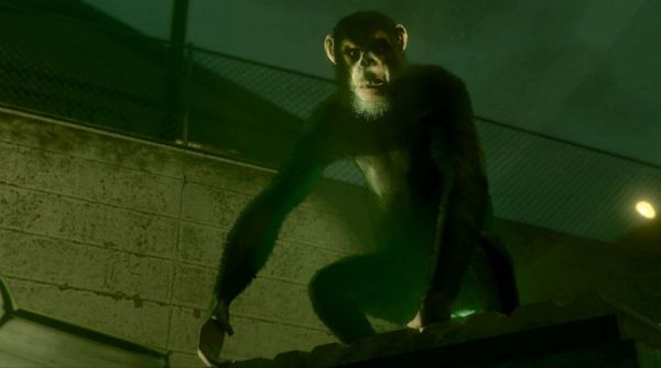 Мавпи не доступні у відкритому світі гри, вони використовувалися в грі виключно в кат сценах деяких місій
