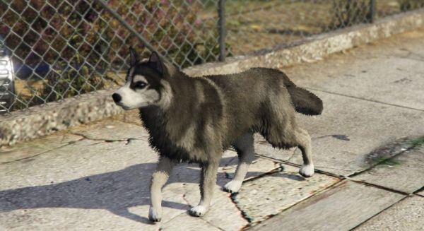 Хаскі ещ одна з порід собак яка доступна виключно для PS4, Xbox One і PC